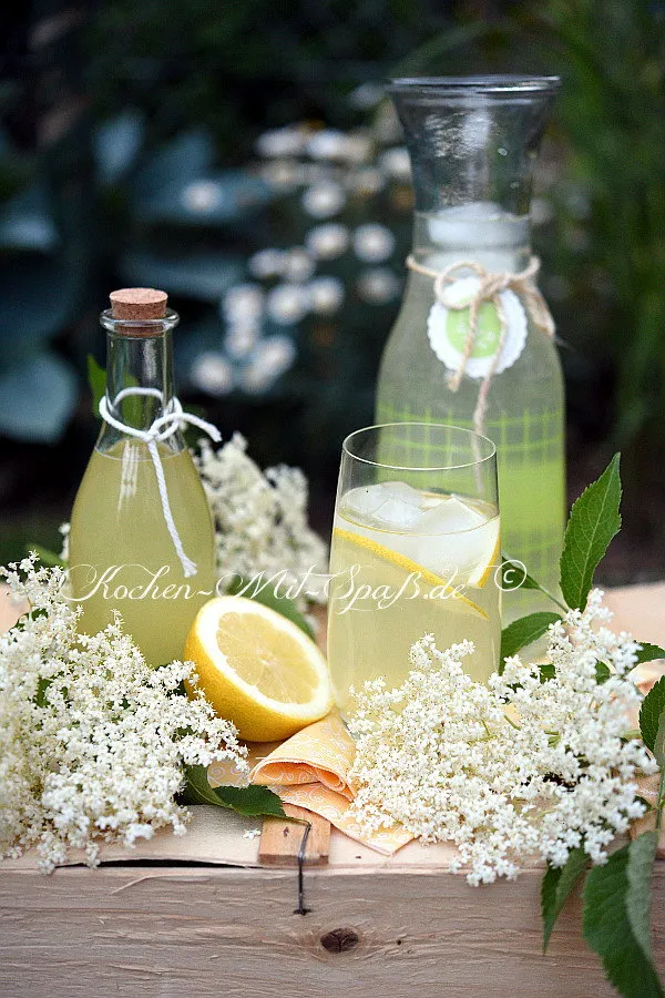 Holunderblütensirup Holunderblütensirup